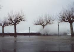 Sur le quai Roussy