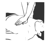 CPR 2002