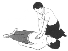CPR 2002