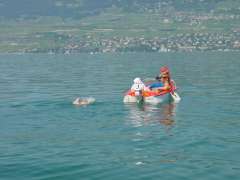 Un nageur = un bateau suiveur