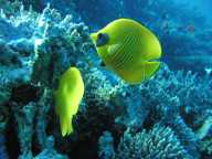 Hurghada 2003