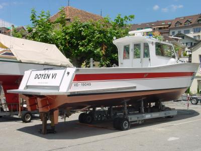 Doyen VI