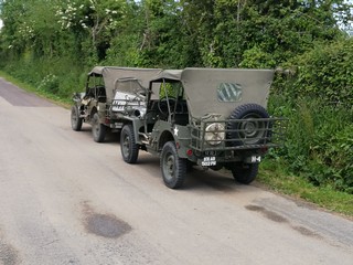 image-1